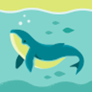 Meet your Posher, Stevie